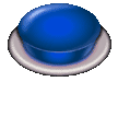 Bridal Info Link Button